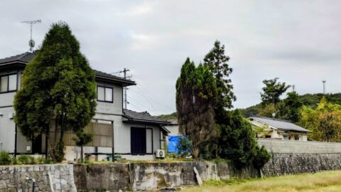 三原市某所　支障木伐採工事