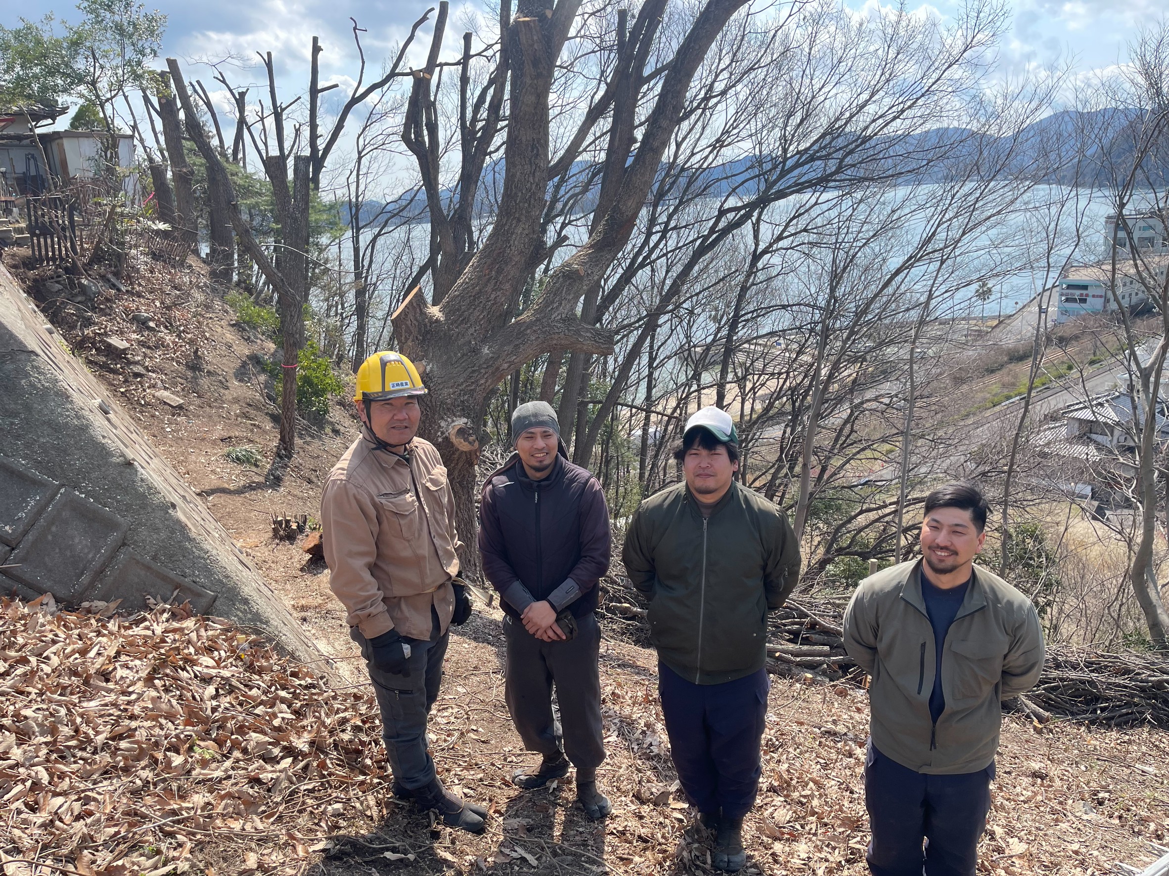樹木伐採で広がる住空間の可能性